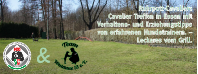Ruhrpott-Cavaliere Spiel, Spaß und Ausbildung für unsere Cavaliere 05.05.2024